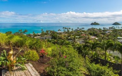 Featured Agent: Alesia Barnes of Barnes Hawaii Real Estate Group