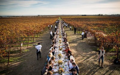 Luxury Farm-to-Table Experiences