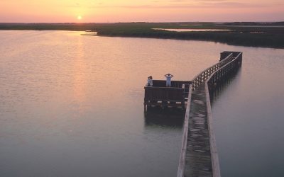 Port Aransas announces new summer festivals
