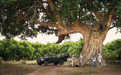 Travel that Gives Back