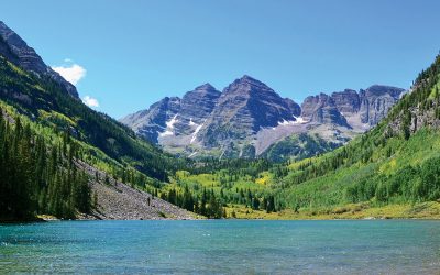 The Abundance of Aspen