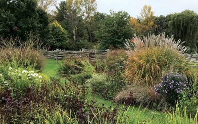 Changing with the Seasons
