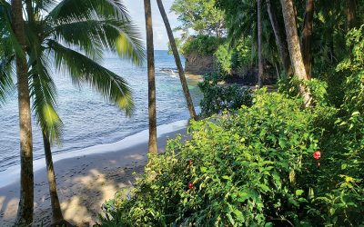 Paradise Living in Panama