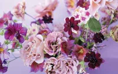 Flower Power