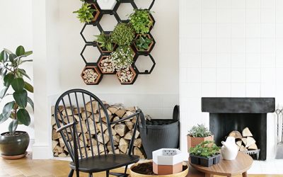 Big Gardens for Small Spaces