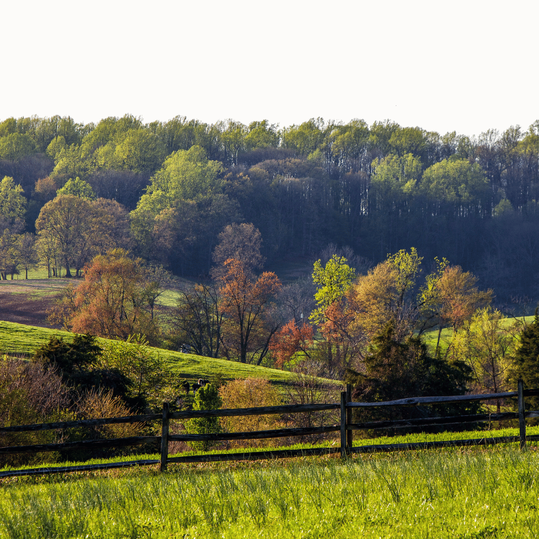 Virginia Real Estate