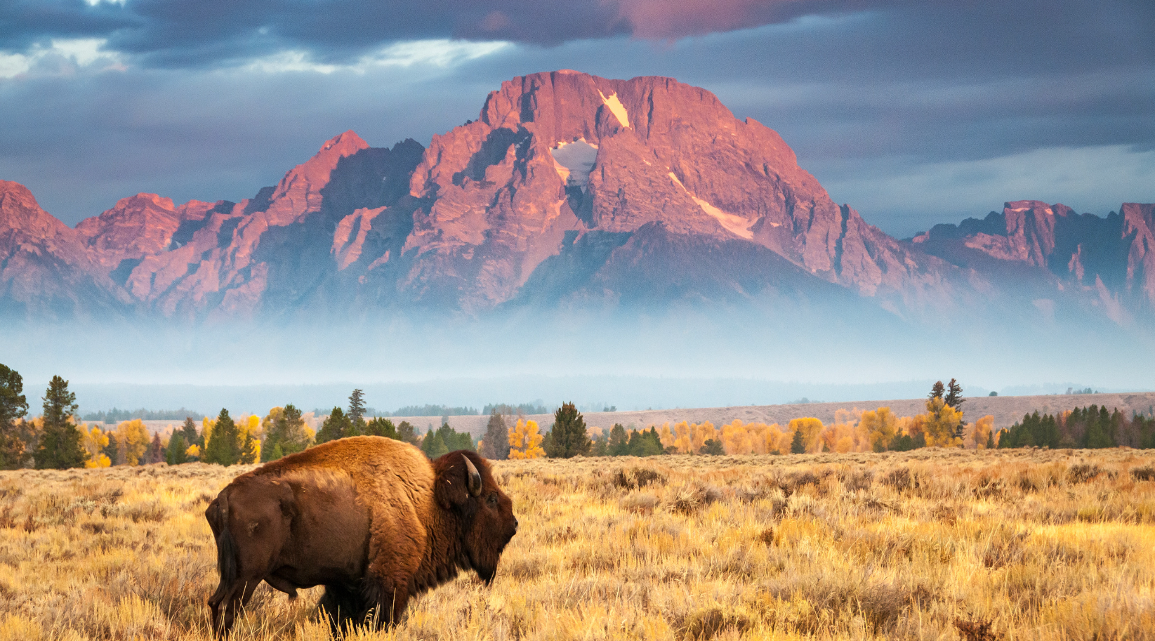 Wyoming Real Estate