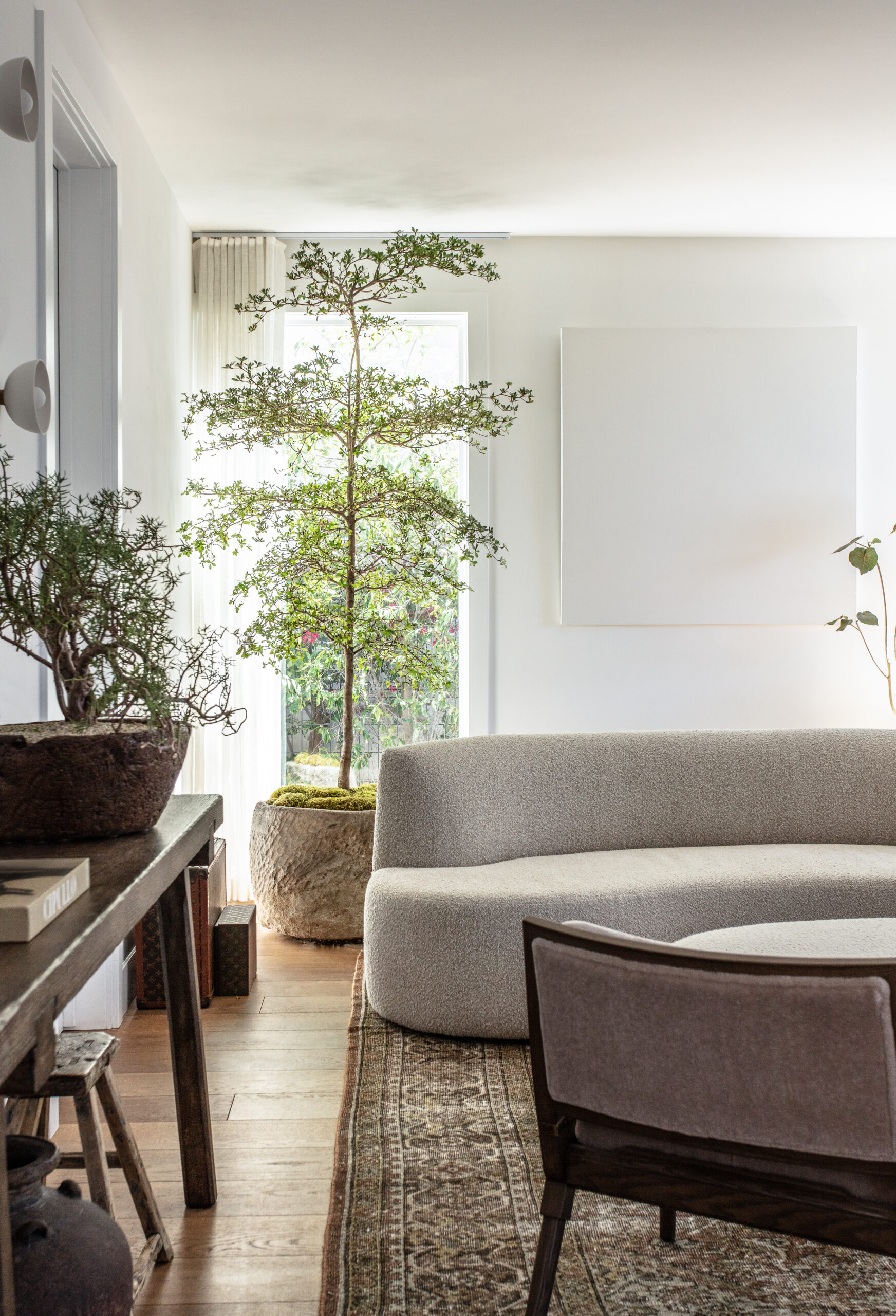 A serene modern living room featuring a sculptural indoor tree in a large stone planter by a sunlit window. The space includes a curved cream-colored sofa, a wooden chair, and a rustic console table topped with books and a bonsai-style plant. Soft natural light and earthy textures create a calm, organic atmosphere blending nature with minimalist design.