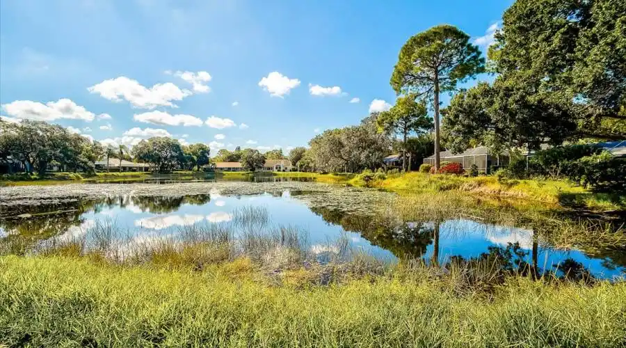 8133 Shadow Pine Way- Sarasota- Florida 34238- United States, 4 Bedrooms Bedrooms, 6 Rooms Rooms,2 BathroomsBathrooms,Residential,For Sale,Shadow Pine,960522