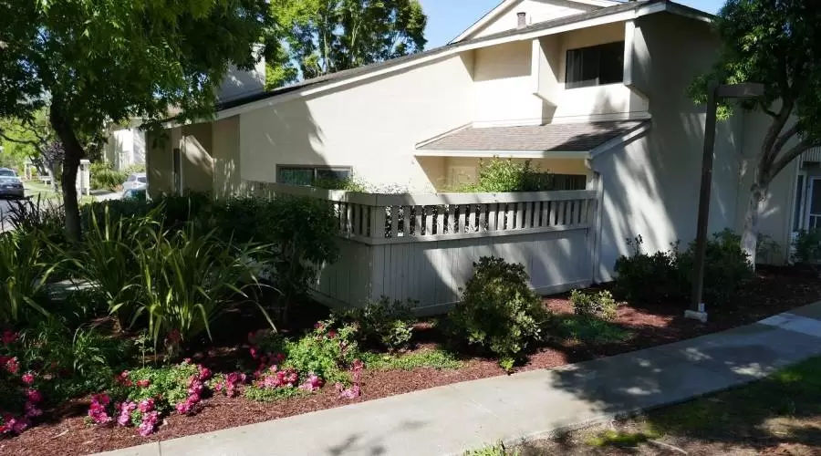 1254 Crescent Terrace, Sunnyvale, California, 94087, United States, 3 Bedrooms Bedrooms, ,2 BathroomsBathrooms,Residential,For Sale,1254 Crescent Terrace,1009279