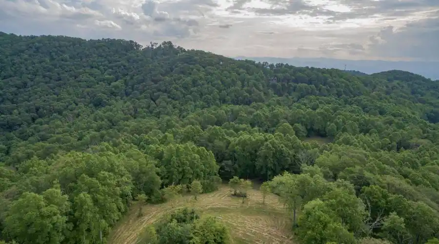 1300 Elk Mountain Scenic Highway, Asheville, North Carolina 28804, United States, ,Land,For Sale,Elk Mountain Scenic,1019095