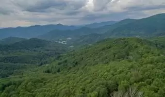 1300 Elk Mountain Scenic Highway, Asheville, North Carolina 28804, United States, ,Land,For Sale,Elk Mountain Scenic,1019095
