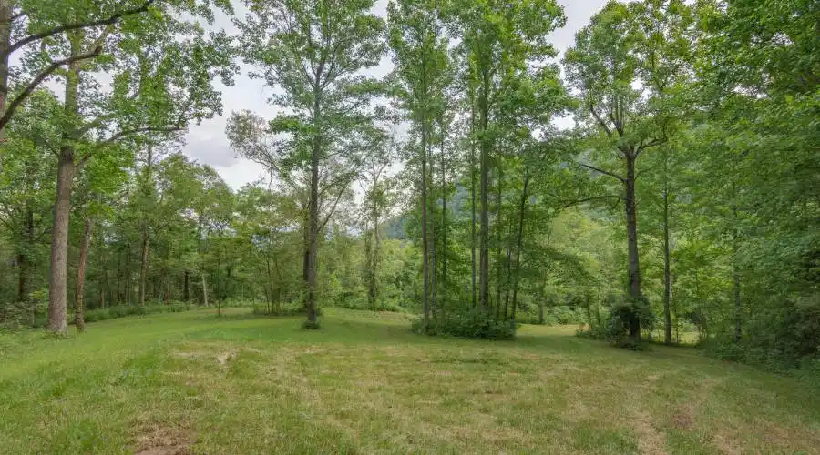 1300 Elk Mountain Scenic Highway, Asheville, North Carolina 28804, United States, ,Land,For Sale,Elk Mountain Scenic,1019095