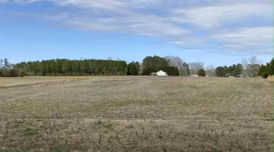 Burgess Road, Middlesex, North Carolina, 27557, United States, ,Residential,For Sale,Burgess Road,1022208