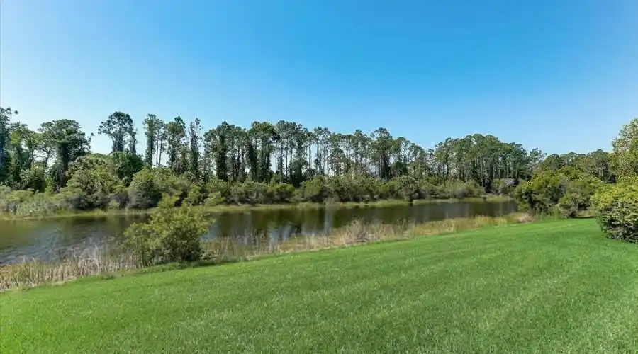 1124 Mallard Marsh Dr, Florida 34229, United States, 4 Bedrooms Bedrooms, 6 Rooms Rooms,3 BathroomsBathrooms,Residential,For Sale,Mallard Marsh,1050228