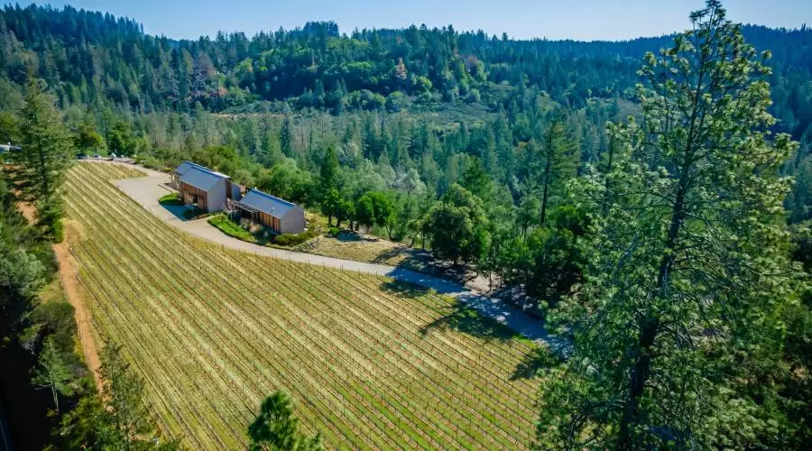 285 Howell Mountain Road, Angwin, California 94508, United States, 4 Bedrooms Bedrooms, ,4 BathroomsBathrooms,Residential,For Sale,Howell Mountain,1064172