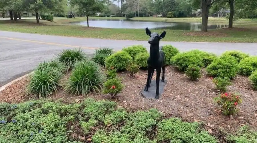 Jacksonville- Florida- United States, 4 Bedrooms Bedrooms, ,3 BathroomsBathrooms,Residential,For Sale,1070999