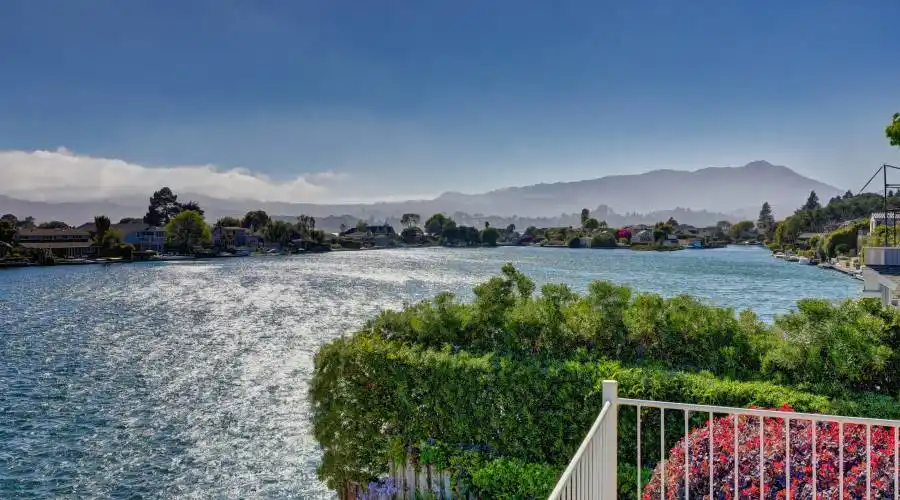 48 lagoon RD, Belvedere, California, United States, 5 Bedrooms Bedrooms, ,4 BathroomsBathrooms,Residential,For Sale,lagoon RD,1114423