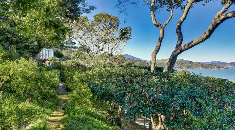 3333 Paradise Drive, Tiburon, California 94920, United States, 3 Bedrooms Bedrooms, 3 Rooms Rooms,Residential,For Sale,Paradise Drive,1115476