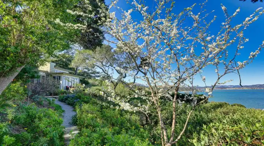 3333 Paradise Drive, Tiburon, California 94920, United States, 3 Bedrooms Bedrooms, 3 Rooms Rooms,Residential,For Sale,Paradise Drive,1115476