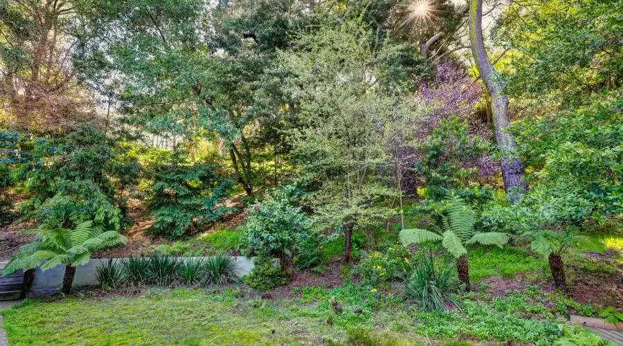 3333 Paradise Drive, Tiburon, California 94920, United States, 3 Bedrooms Bedrooms, 3 Rooms Rooms,Residential,For Sale,Paradise Drive,1115476