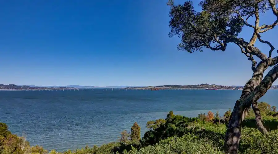 3333 Paradise Drive, Tiburon, California 94920, United States, 3 Bedrooms Bedrooms, 3 Rooms Rooms,Residential,For Sale,Paradise Drive,1115476