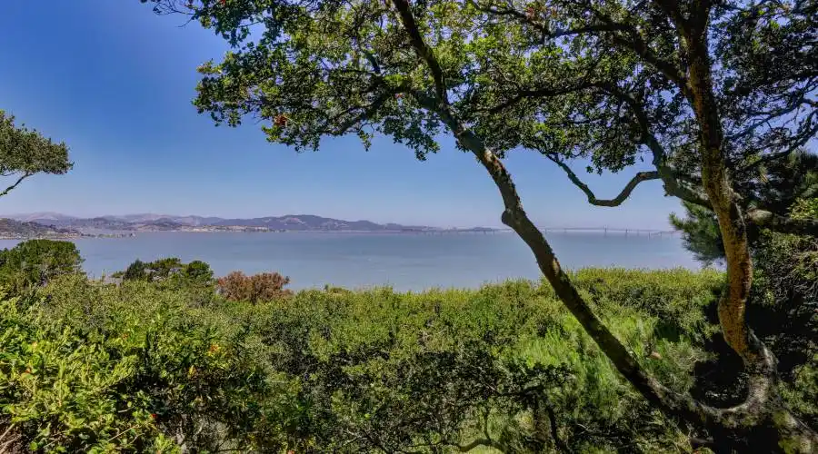 3333 Paradise Drive, Tiburon, California 94920, United States, 3 Bedrooms Bedrooms, 3 Rooms Rooms,Residential,For Sale,Paradise Drive,1115476