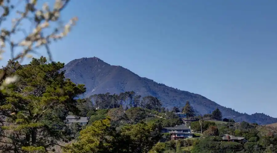 3333 Paradise Drive, Tiburon, California 94920, United States, 3 Bedrooms Bedrooms, 3 Rooms Rooms,Residential,For Sale,Paradise Drive,1115476