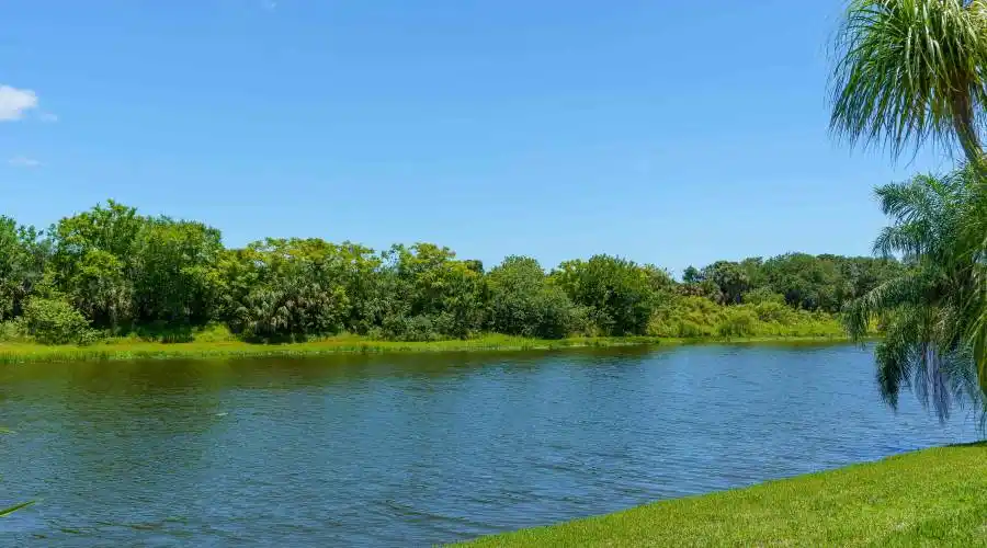 8324 Barton Farms Blvd, Florida, United States, 4 Bedrooms Bedrooms, 12 Rooms Rooms,3 BathroomsBathrooms,Residential,For Sale,Barton Farms Blvd,1124316