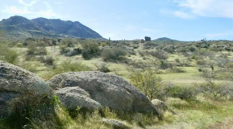 332XX N 138 ST, Scottsdale, Arizona 85262, United States, ,Land,For Sale, N 138 ST,1136510