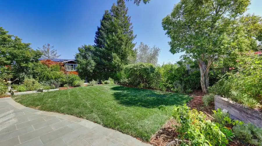 59 Meadowood Dr, Larkspur, California 94939, United States, 4 Bedrooms Bedrooms, ,2.5 BathroomsBathrooms,Residential,For Sale,59 Meadowood Dr,1147592