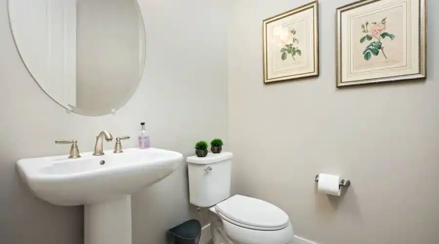 2703 E Indigo Pl, Chandler, Arizona 85286, United States, 3 Bedrooms Bedrooms, 3 Rooms Rooms,3 BathroomsBathrooms,Residential,For Sale,E Indigo Pl,1197454