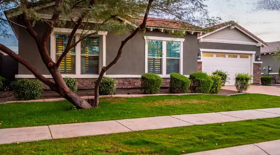 2703 E Indigo Pl, Chandler, Arizona 85286, United States, 3 Bedrooms Bedrooms, 3 Rooms Rooms,3 BathroomsBathrooms,Residential,For Sale,E Indigo Pl,1197454