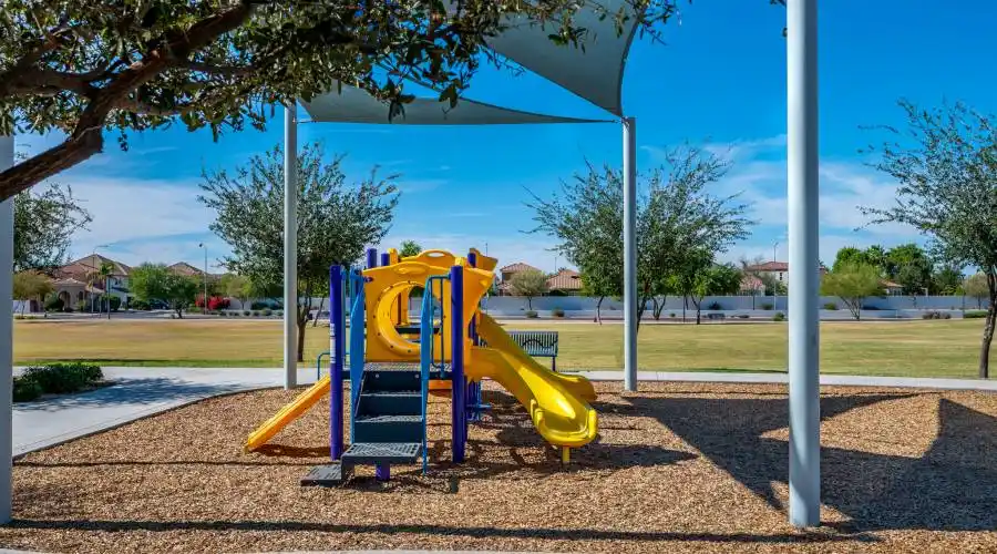 2703 E Indigo Pl, Chandler, Arizona 85286, United States, 3 Bedrooms Bedrooms, 3 Rooms Rooms,3 BathroomsBathrooms,Residential,For Sale,E Indigo Pl,1197454