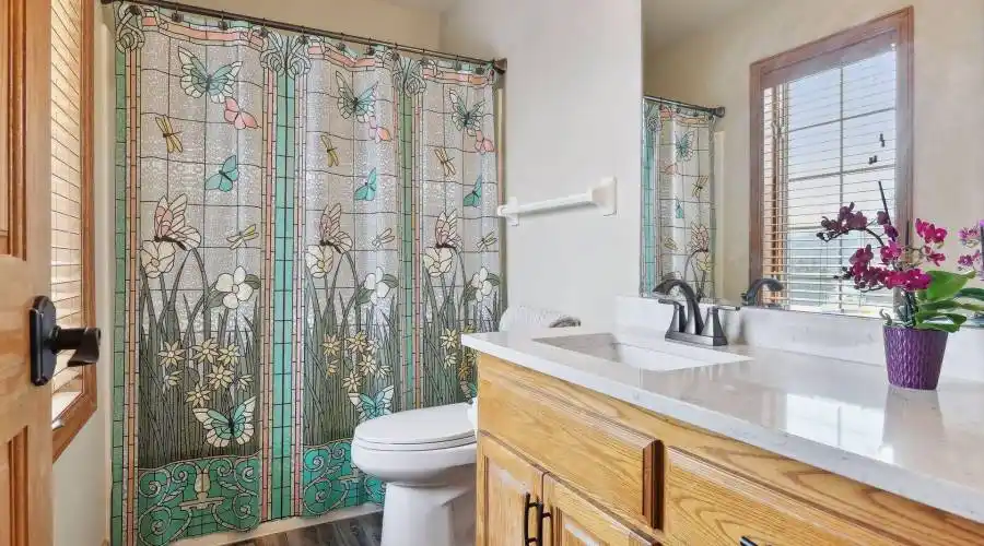 296 153rd LN nw, Andover, Minnesota 55304, United States, 5 Bedrooms Bedrooms, ,5 BathroomsBathrooms,Residential,For Sale,296 153rd LN nw,1219997