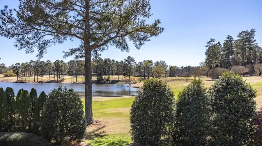 7712 harps mill RD, Raleigh, North Carolina 27615, United States, 6 Bedrooms Bedrooms, 16 Rooms Rooms,6 BathroomsBathrooms,Residential,For Sale,harps mill RD,1274847