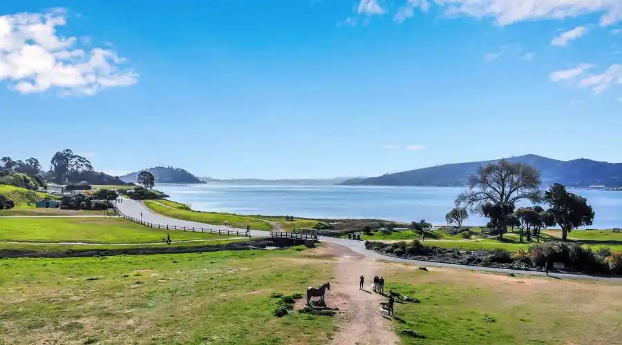 8 Felipa Ct, Tiburon, California 94920, United States, 6 Bedrooms Bedrooms, ,3.5 BathroomsBathrooms,Residential,For Sale,8 Felipa Ct,1280881