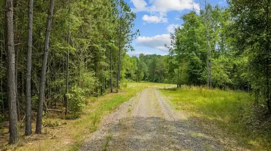 NC 751 Highway, Apex, North Carolina, 27523, United States, ,Residential,For Sale,NC 751 Highway,1290121