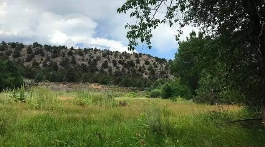 240 Acres W Pennys Pond Road, Panguitch, Utah, 84759, United States, ,Residential,For Sale,240 acres w pennys pond RD,1315010