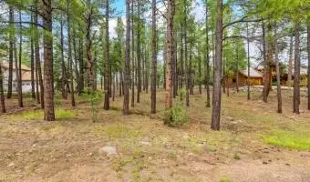 3781 Griffiths Spring 451, Flagstaff, Arizona 86005, United States, ,Land,For Sale,1325762