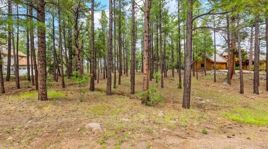 3781 Griffiths Spring 451, Flagstaff, Arizona 86005, United States, ,Land,For Sale,1325762