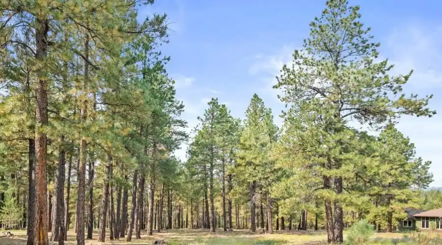 2013 Cecil Richardson -- 844, Flagstaff, Arizona 86005, United States, ,Land,For Sale,1341595