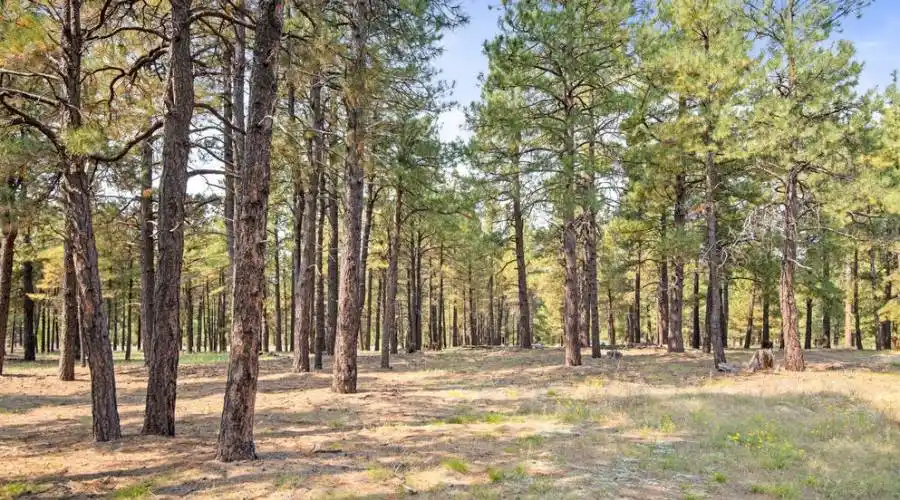 2013 Cecil Richardson -- 844, Flagstaff, Arizona 86005, United States, ,Land,For Sale,1341595