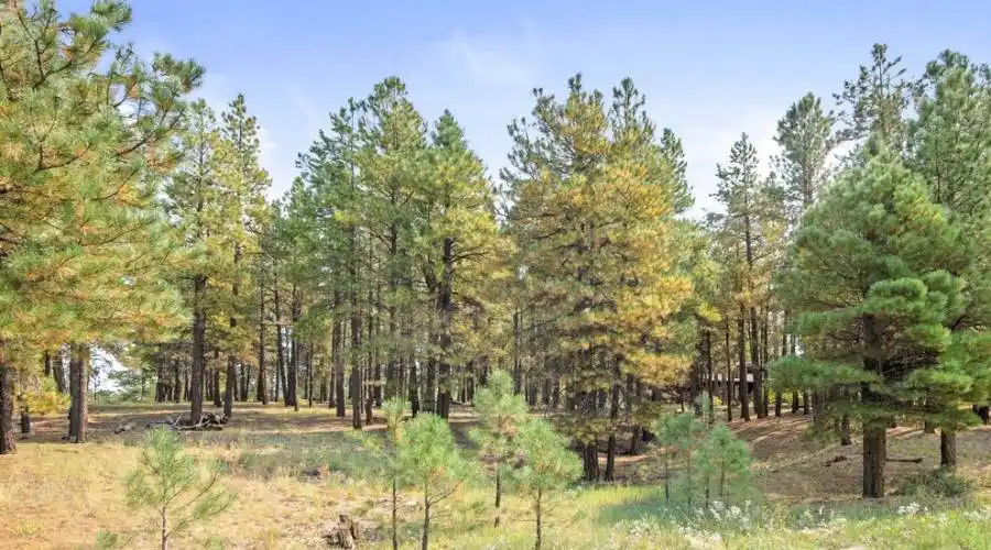 2013 Cecil Richardson -- 844, Flagstaff, Arizona 86005, United States, ,Land,For Sale,1341595