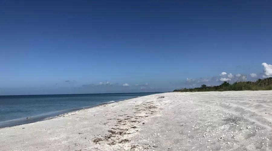 717 Birdie View Point, Sanibel, Florida, 33957, United States, ,Land,For Sale,Birdie View,1408882