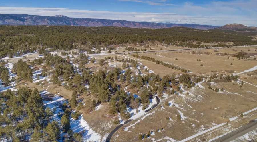 8021 Spruce Mountain Rd, Larkspur, Colorado, 80118, United States, 5 Bedrooms Bedrooms, ,5 BathroomsBathrooms,Residential,For Sale,8021 Spruce Mountain Rd,1477660