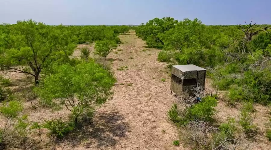 4984 S Hwy 83, Uvalde, Texas, 78801, United States, ,Residential,For Sale,4984 S Hwy 83,1478011