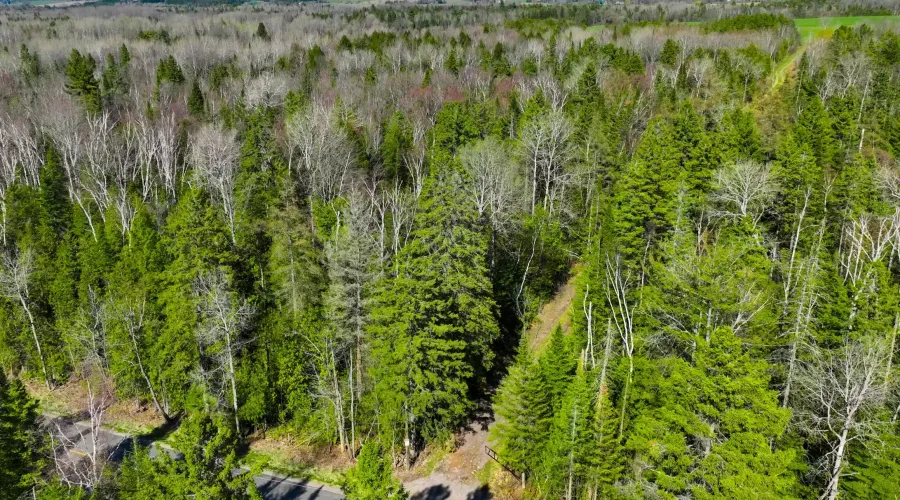 7489 Concession Road 2, Uxbridge, Ontario, Canada, ,Land,For Sale,Concession,1548284