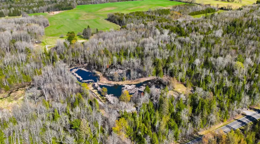 7489 Concession Road 2, Uxbridge, Ontario, Canada, ,Land,For Sale,Concession,1548284