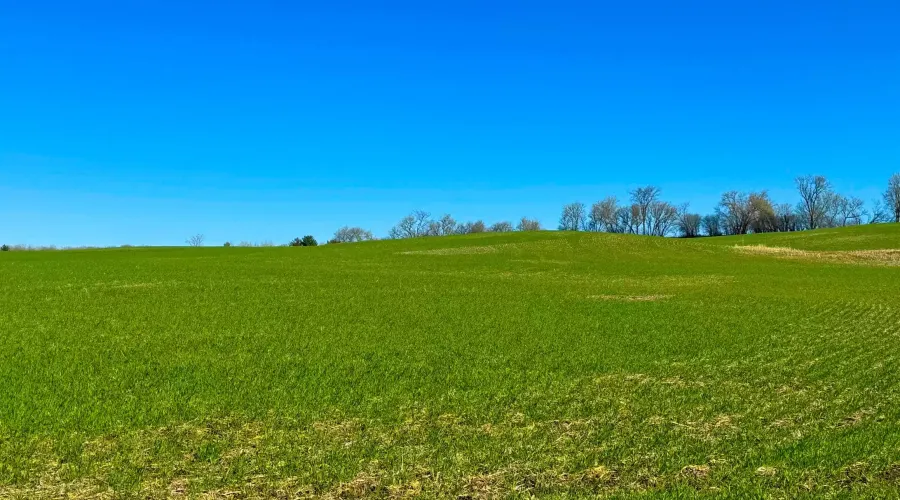 7489 Concession Road 2, Uxbridge, Ontario, Canada, ,Land,For Sale,Concession,1548284